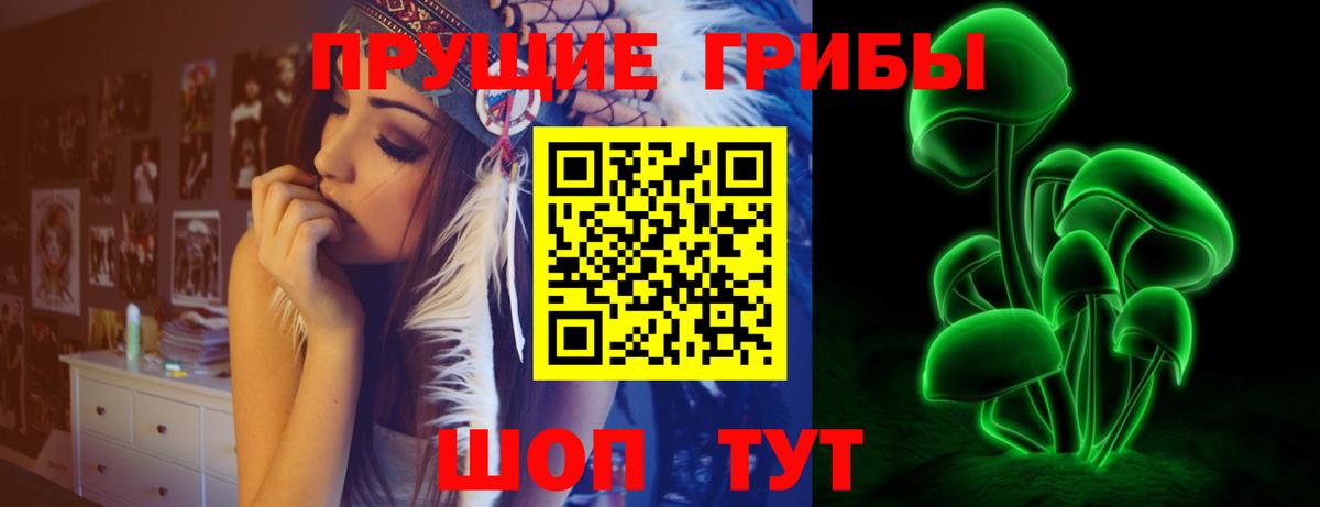 Псилоцибиновые грибы Cubensis  Вход с VPN  Дубна  купить   Галлюциногенные грибы Cubensis 