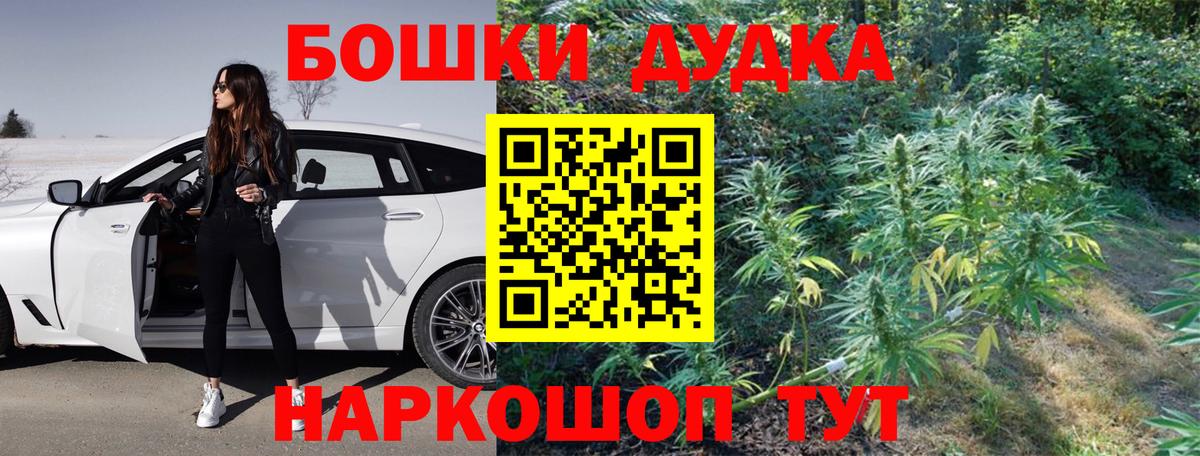Каннабис MAZAR Дубна